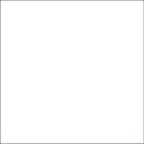 Savage Accent Solid Muslin Background (10 x 24', White)