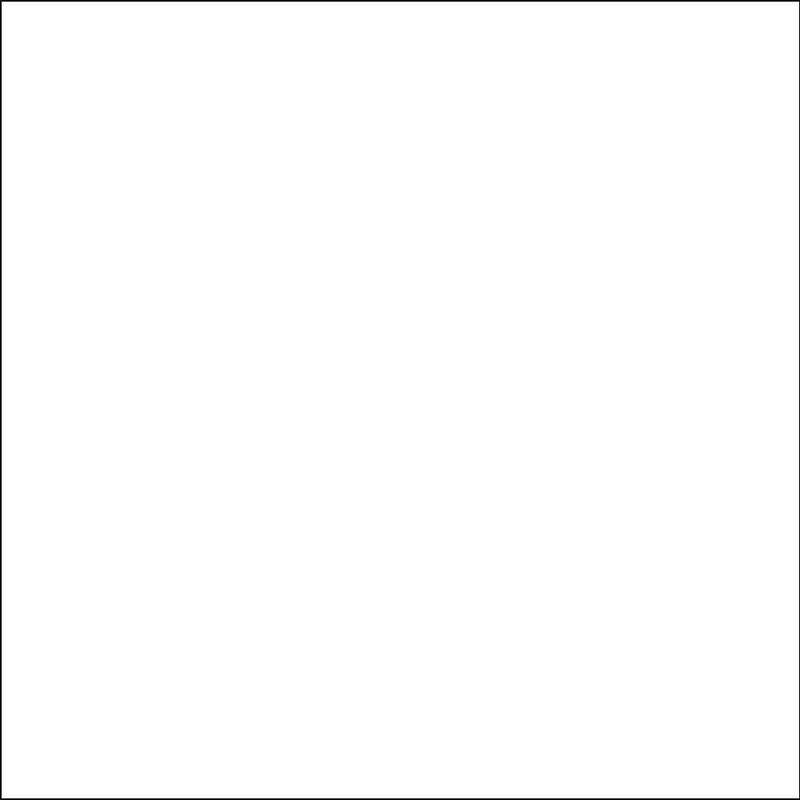 Savage Accent Solid Muslin Background (10 x 24', White)