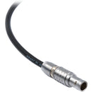 Remote Audio 5-pin Lemo to 1/4" Mono Male Time Code Cable (2')