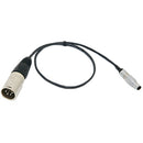 Teradek 2-Pin LEMO to XLR Cable (18")