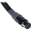 Remote Audio TA5F Y Cable to Two XLR-3M, Left and Right / for Zaxcom QRX100 - 18"