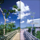 Tiffen 86mm 85B Linear Polarizer Filter (Non-Rotating)