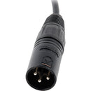 Remote Audio CAXJ12S XLR Male to XLR Female Straight Cable (12")