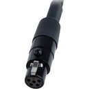 Remote Audio 2 XLR3F to TA5F Balanced Stereo Breakout - 18"