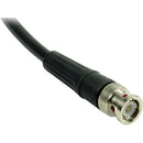 Remote Audio CABNC50M802 50 BNC Antenna Cable (2')