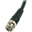 Remote Audio CABNC50M802 50 BNC Antenna Cable (2')