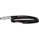 Core SWX JP-LEADS 5" 5V Cable with Flying Leads