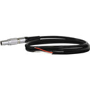 Core SWX JP-LEADS 7.2" 5V Cable with Flying Leads