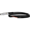 Core SWX JP-LEADS 12" 5V Cable with Flying Leads