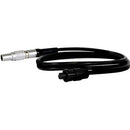 Core SWX 24" Lemo JetPack Cable for AJA Mini Converters