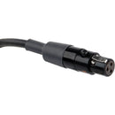 Remote Audio CASDT3/3.5 Unbalanced TA3F to 3.5mm TRS Locking Adapter Cable (18")