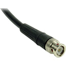 Remote Audio CABNC50M810 50 BNC Antenna Cable (10')
