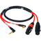 Laird Digital Cinema RD1-2MPS2XF-10 2-Channel Stereo 3.5mm Male to Dual Standard XLR 3-Pin Female Cable