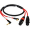 Laird Digital Cinema RD1-2MPS2XF-2 2-Channel Stereo 3.5mm Male to Dual Standard XLR 3-Pin Female Cable