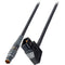 Laird Digital Cinema AB-PWR7-01 PowerTap to LEMO 2-Pin Male 12 VDC Power Cable (1'/0.3 m)