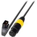 Laird Digital Cinema PowerTap Male to 4-Pin XLR Female Power Cable (3'/0.91 m)