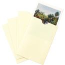 Print File NP46 4 x 6" Buffered Print Envelope (100-Pack)