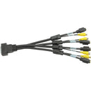 Matrox 1' (0.3m) KX20 to 4 x Composite S-Video TV Adapter Cable (Black)