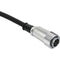 Remote Audio 10-pin Hirose (M) to Neutricon (M) ENG Breakaway Cable with Mixer Ends (2')