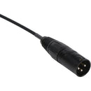Remote Audio CAS-SMX-S Unbalanced Adapter Cable (18")