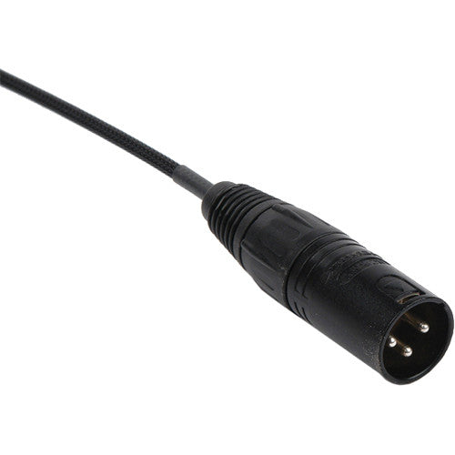 Remote Audio CAS-SMX-S Unbalanced Adapter Cable (18")
