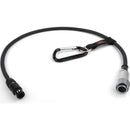 Remote Audio 10-pin Hirose (M) to Neutricon (M) ENG Breakaway Cable with Mixer Ends (2')