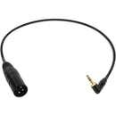 Remote Audio CAS-SMX-S Unbalanced Adapter Cable (18")