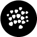 Rosco Steel Gobo