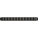 Camplex 12-Port Duplex ST Single-Mode Fiber Feedthrough Rackmount Panel