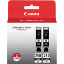Canon PIXMA iP8720 Wireless Inkjet Photo Printer with 2 x PGI-250PGBK XL High-Capacity Black Ink Cartridge Kit