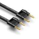 Hosa Technology Dual Banana Male to Dual Banana Male Speaker Cable (100')