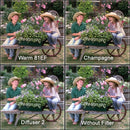 Cokin Wedding Kit: Includes Warm 81EF (A037), Diffuser 2 (A084) & Champagne (A695)