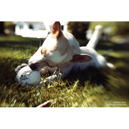 Lensbaby Spark 50mm f/5.6 Selective Focus Lens for Canon EF Mount