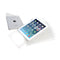 CTA Digital Anti-Theft Security Kiosk Stand for iPad mini