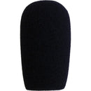 Point Source Audio Windscreen with O-Ring for CM-i3
