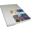 Premier Imaging Display Clear Film (13 x 19", 100 Sheets)