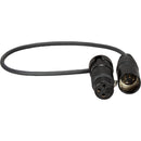 Ambient Recording 3-Pin XLR Female to 5-Pin XLR Male Microphone Cable (11.8")