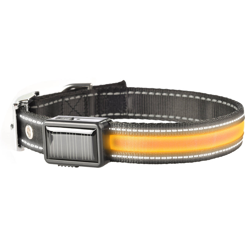 Brite-Strike Solar/USB Lighted Dog Collar (Large)