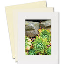 Lineco Basics 4-Ply Standard Fame Size Buffered 100% Rag Gallery Mat Board (25 Sheets, 16 x 20", White)