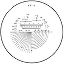 Peak 10x Scale Loupe