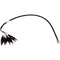 Platinum Tools TCA015 8-Way Alligator Clip to RJ45 Cable Assembly (24")
