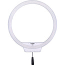 Yongnuo YN608W LED Video Ring Light (5500K)
