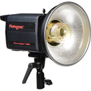 Photogenic PL1250C Two Powerlight Kit (120VAC)