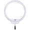 Yongnuo YN308W LED Video Ring Light (5500K)