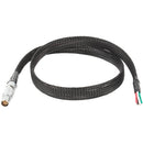 Wooden Camera Canon C300 Mark II FLEX LEMO to Flying Leads Power Cable (Straight, 24")