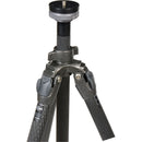 Gitzo GT2543L Mountaineer Series 2 Carbon Fiber Tripod & GH5750QR Series 5 Off-Center Magnesium Ball Head Kit