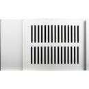 iStarUSA D-300 Front Bezel Door (3 RU, Silver)