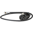 Ambient Recording 3-Pin XLR Female to ARRI ALEXA Mini Adapter Cable (15.7")