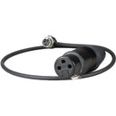 Ambient Recording 3-Pin XLR Female to Short Right Angle TA3F Adapter Cable (Left Exit, 15.7")