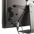 Flanders Scientific Chassis Mounted Power Plate with XLR (Gold Mount)